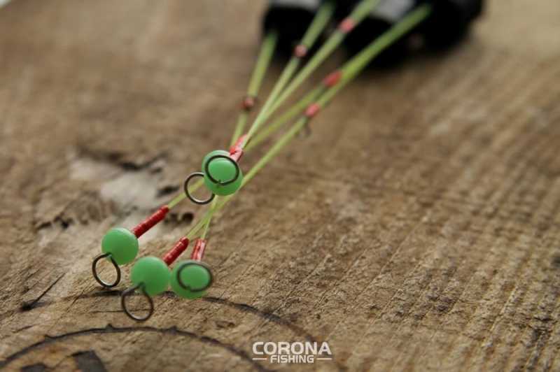 kiwoki do błystki podlodowej